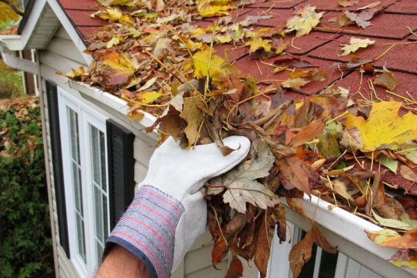 A hand clearing leafs from a home gutter